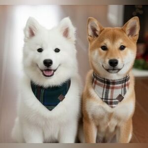 NEW! Southern Living Brown and Green Scarf Accessory 2 Pack NWT Sz XS/S